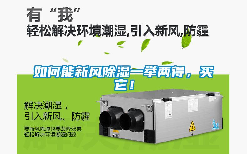 如何能新風除濕一舉兩得，買它！