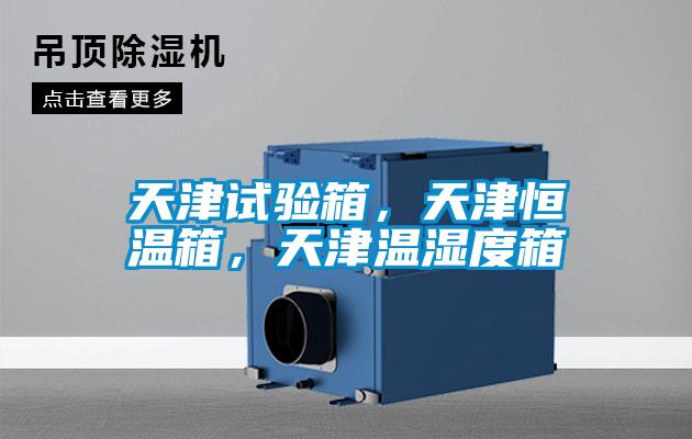 天津試驗箱，天津恒溫箱，天津溫濕度箱