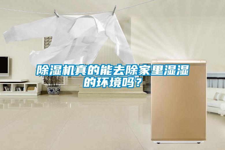 除濕機真的能去除家里濕濕的環境嗎？