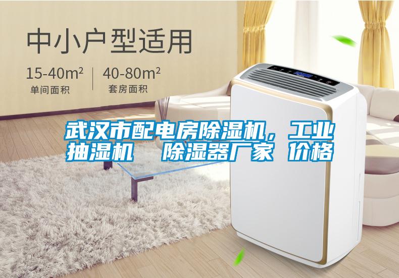 武漢市配電房除濕機(jī)，工業(yè)抽濕機(jī)  除濕器廠家 價(jià)格
