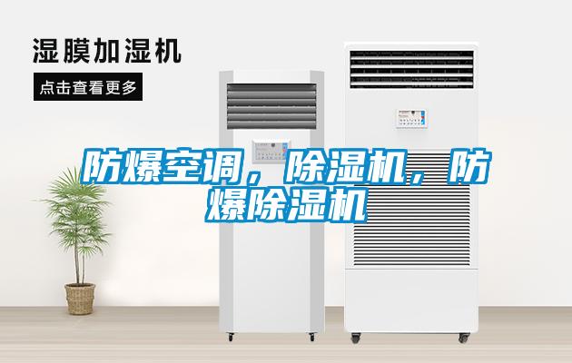 防爆空調(diào)，除濕機(jī)，防爆除濕機(jī)