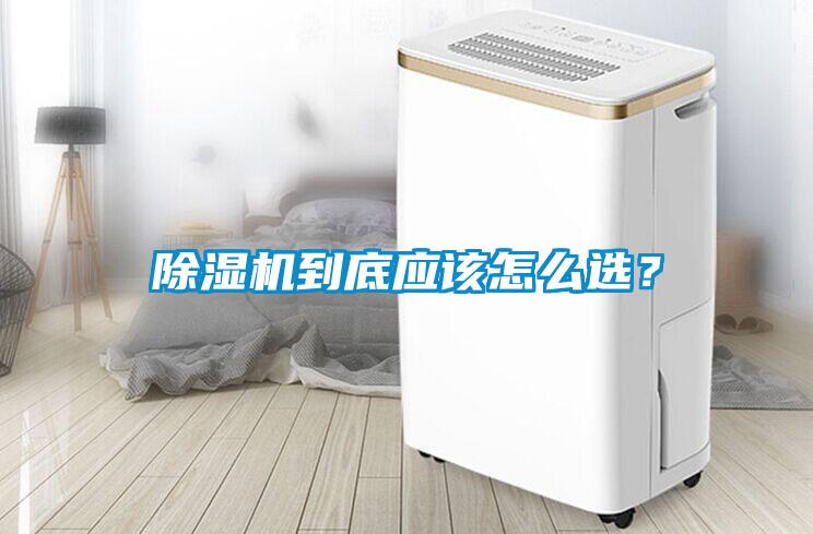 除濕機到底應該怎么選？