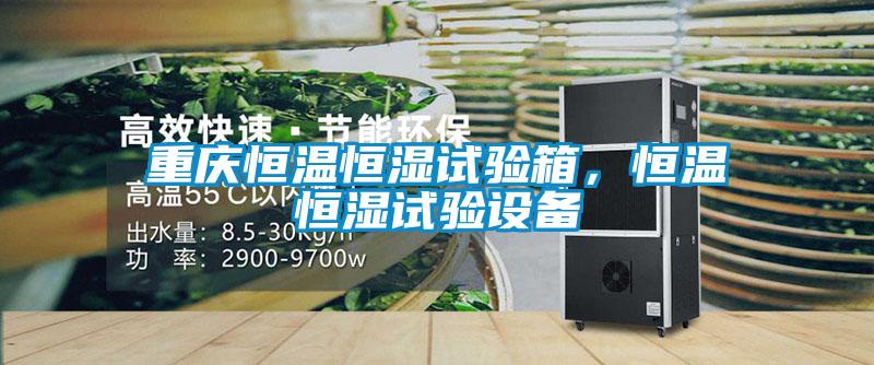 重慶恒溫恒濕試驗箱，恒溫恒濕試驗設備