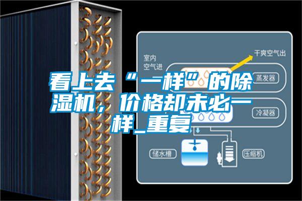 看上去“一樣”的除濕機，價格卻未必一樣_重復