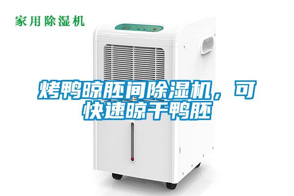 烤鴨晾胚間除濕機，可快速晾干鴨胚