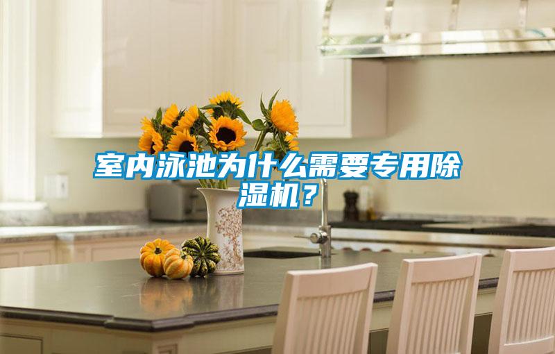 室內(nèi)泳池為什么需要專用除濕機？