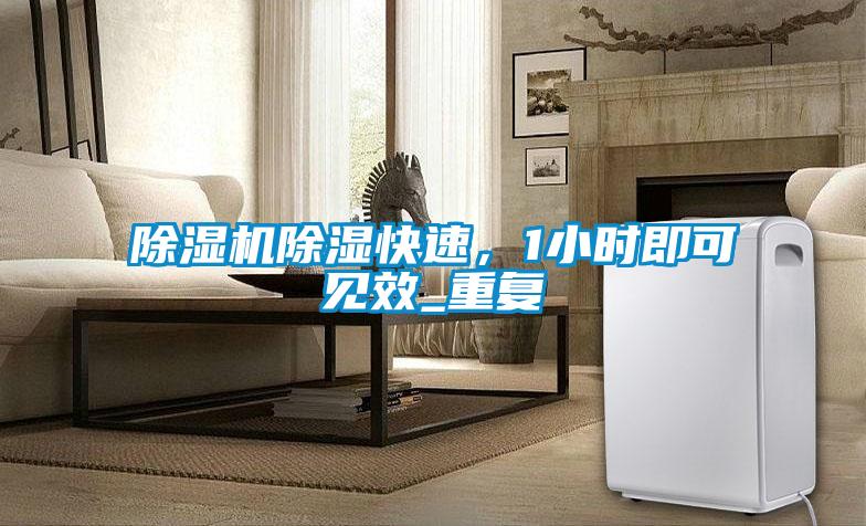 除濕機除濕快速，1小時即可見效_重復