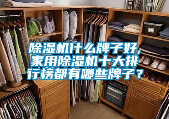 除濕機什么牌子好,家用除濕機十大排行榜都有哪些牌子？