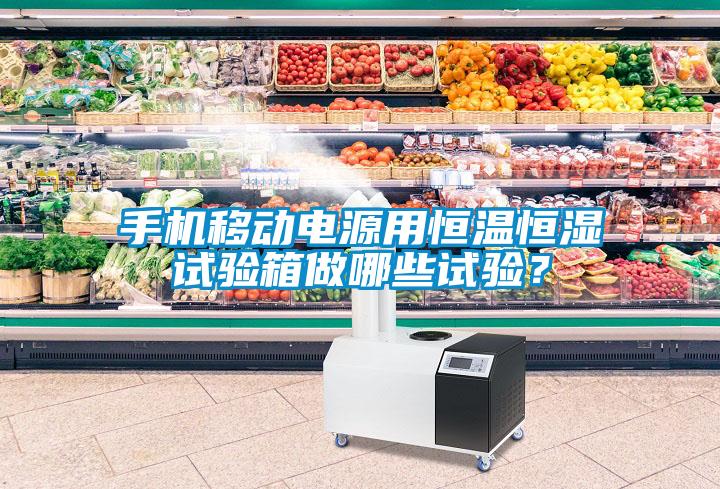手機移動電源用恒溫恒濕試驗箱做哪些試驗？