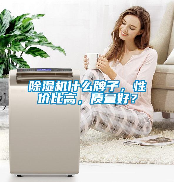 除濕機(jī)什么牌子，性?xún)r(jià)比高，質(zhì)量好？
