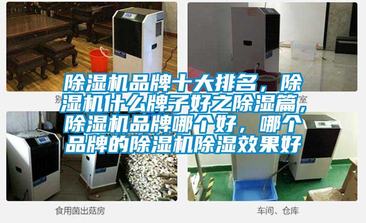 除濕機(jī)品牌十大排名，除濕機(jī)什么牌子好之除濕篇，除濕機(jī)品牌哪個好，哪個品牌的除濕機(jī)除濕效果好