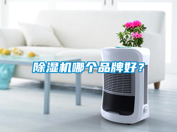 除濕機(jī)哪個(gè)品牌好？