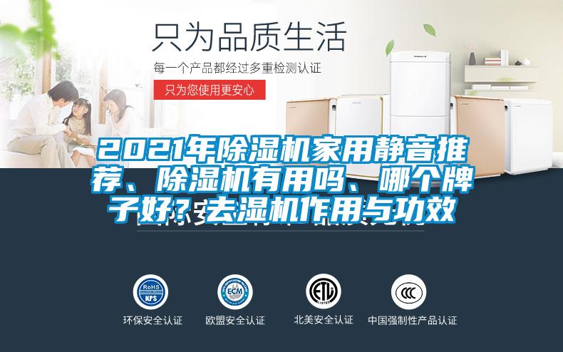 2021年除濕機家用靜音推薦、除濕機有用嗎、哪個牌子好？去濕機作用與功效