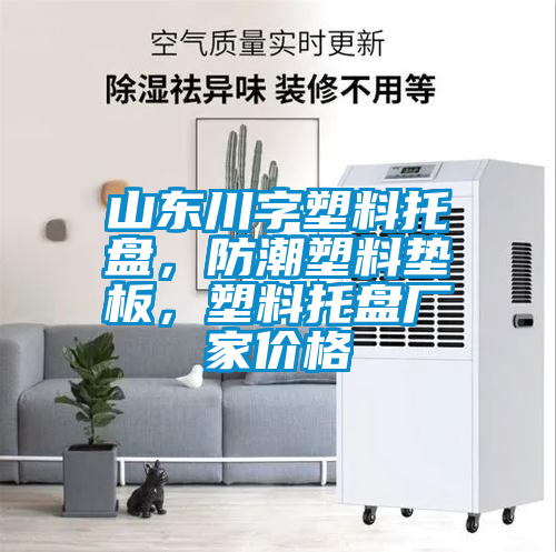 山東川字塑料托盤，防潮塑料墊板，塑料托盤廠家價格