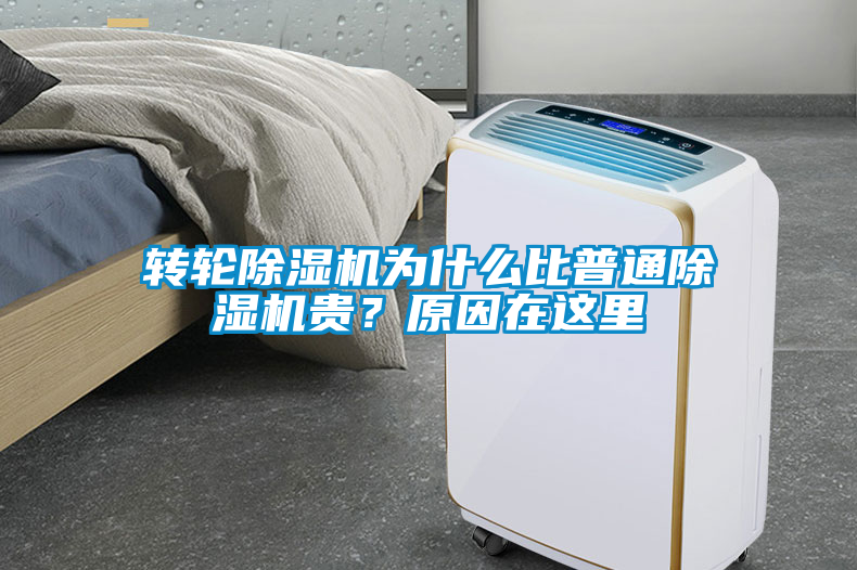 轉輪除濕機為什么比普通除濕機貴？原因在這里