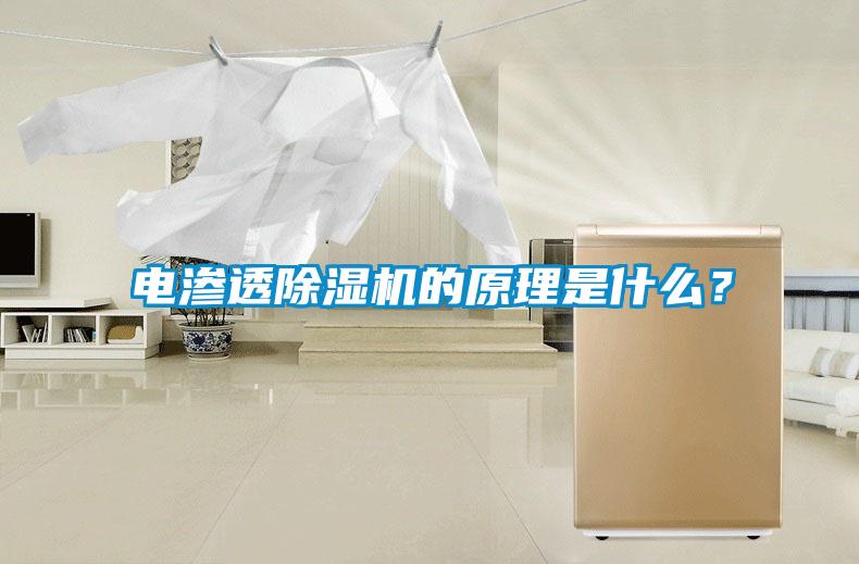 電滲透除濕機的原理是什么？