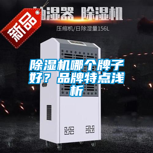 除濕機(jī)哪個牌子好？品牌特點(diǎn)淺析