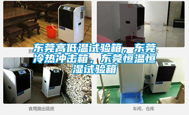 東莞高低溫試驗(yàn)箱，東莞冷熱沖擊箱，東莞恒溫恒濕試驗(yàn)箱