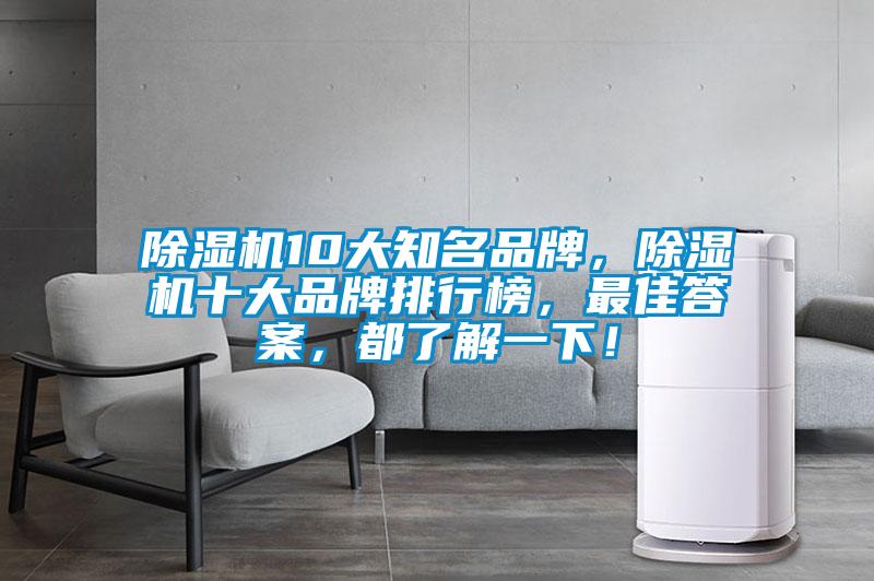 除濕機10大知名品牌，除濕機十大品牌排行榜，最佳答案，都了解一下！
