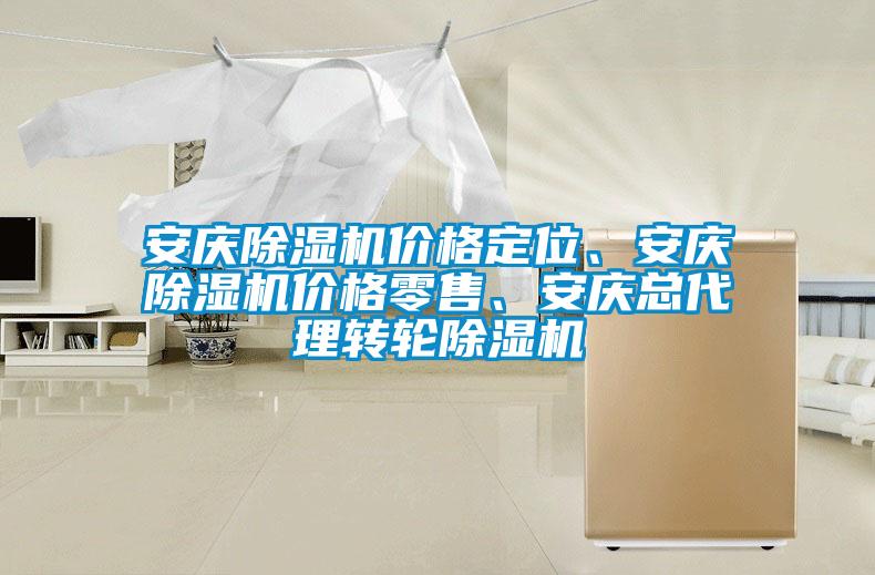 安慶除濕機價格定位、安慶除濕機價格零售、安慶總代理轉(zhuǎn)輪除濕機