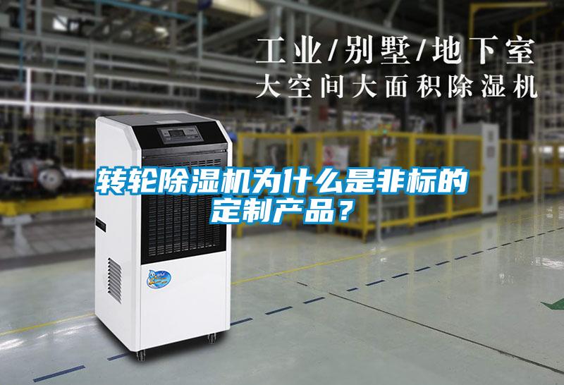 轉輪除濕機為什么是非標的定制產品？
