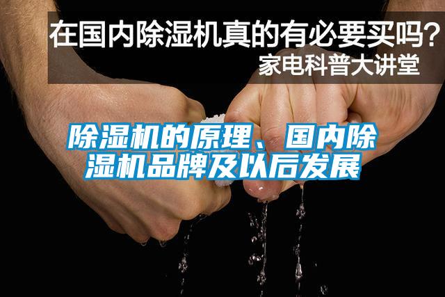 除濕機的原理、國內除濕機品牌及以后發展