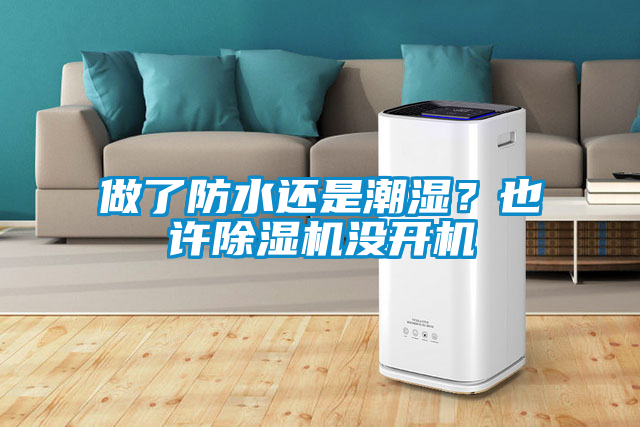 做了防水還是潮濕？也許除濕機沒開機
