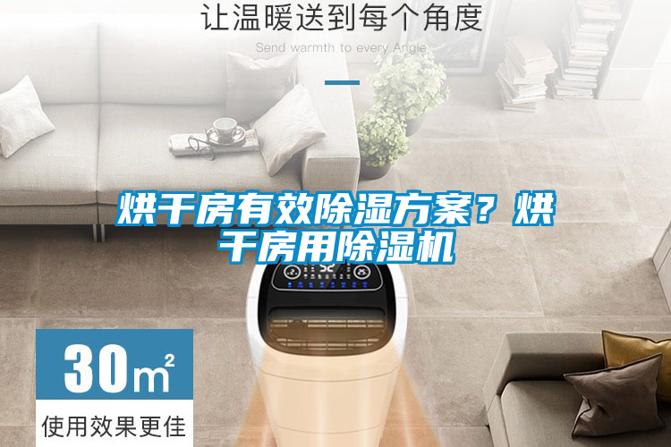 烘干房有效除濕方案？烘干房用除濕機
