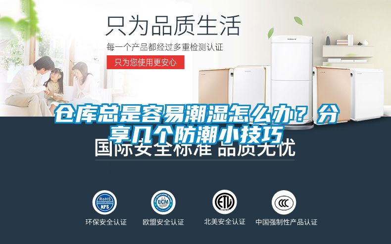 倉庫總是容易潮濕怎么辦？分享幾個防潮小技巧