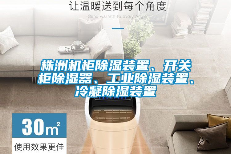 株洲機(jī)柜除濕裝置、開關(guān)柜除濕器、工業(yè)除濕裝置、冷凝除濕裝置