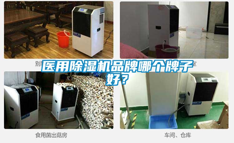 醫用除濕機品牌哪個牌子好？