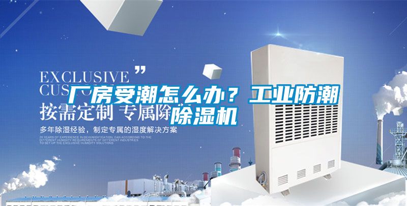 廠(chǎng)房受潮怎么辦？工業(yè)防潮除濕機(jī)