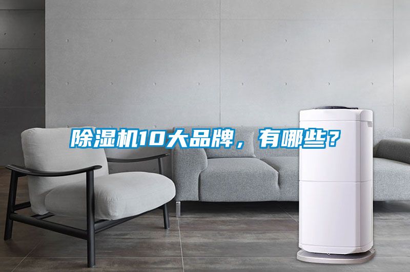 除濕機(jī)10大品牌，有哪些？