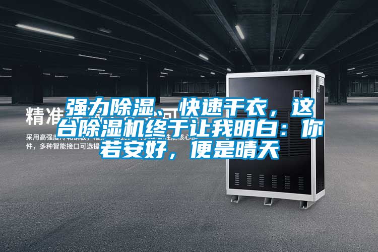 強(qiáng)力除濕、快速干衣，這臺(tái)除濕機(jī)終于讓我明白：你若安好，便是晴天