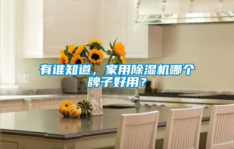 有誰知道，家用除濕機哪個牌子好用？