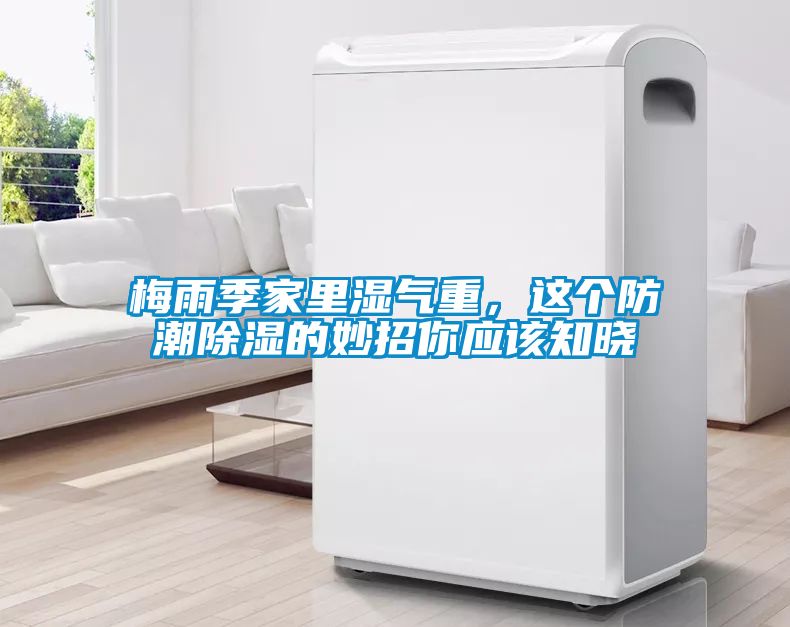 梅雨季家里濕氣重，這個防潮除濕的妙招你應(yīng)該知曉
