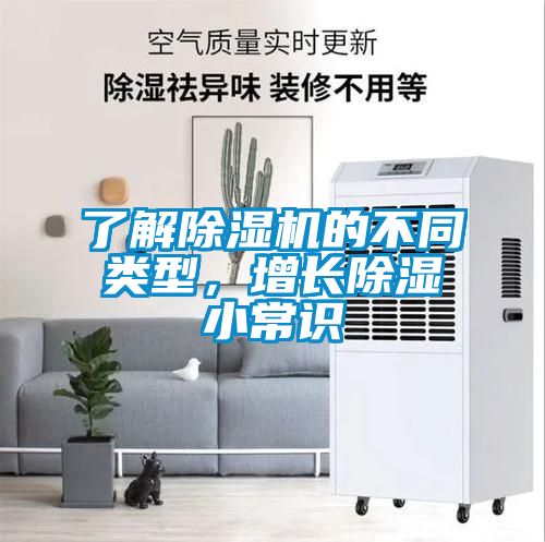 了解除濕機的不同類型，增長除濕小常識
