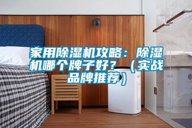 家用除濕機攻略：除濕機哪個牌子好？（實戰品牌推薦）