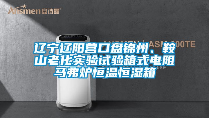 遼寧遼陽(yáng)營(yíng)口盤錦州、鞍山老化實(shí)驗(yàn)試驗(yàn)箱式電阻馬弗爐恒溫恒濕箱