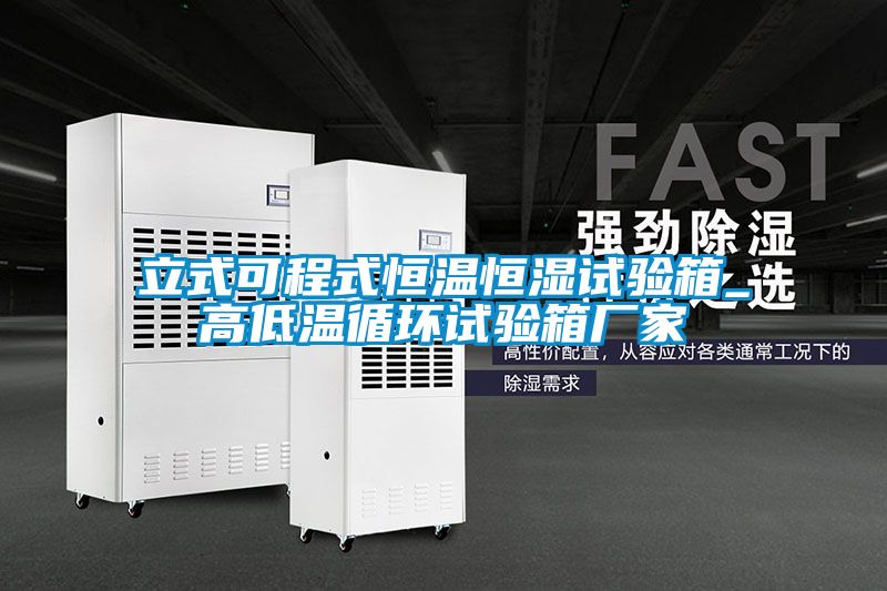 立式可程式恒溫恒濕試驗(yàn)箱_高低溫循環(huán)試驗(yàn)箱廠(chǎng)家