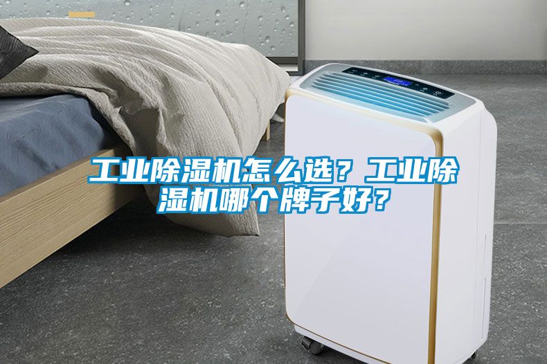 工業(yè)除濕機(jī)怎么選？工業(yè)除濕機(jī)哪個(gè)牌子好？