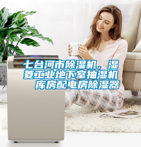 七臺河市除濕機，濕菱工業地下室抽濕機  庫房配電房除濕器