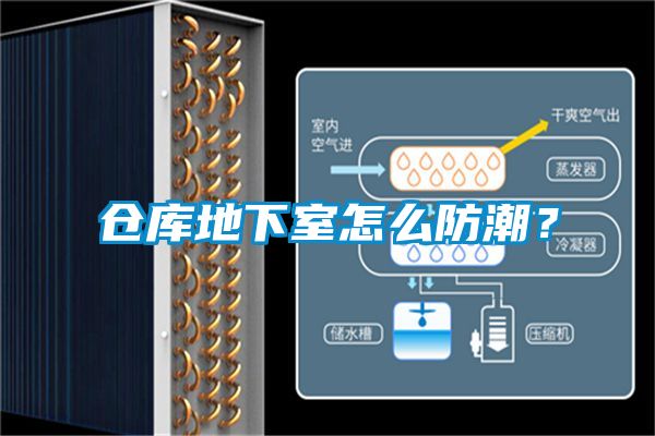 倉(cāng)庫地下室怎么防潮？