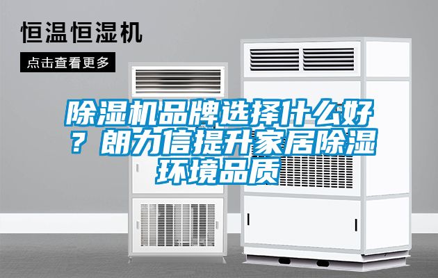 除濕機品牌選擇什么好？朗力信提升家居除濕環境品質