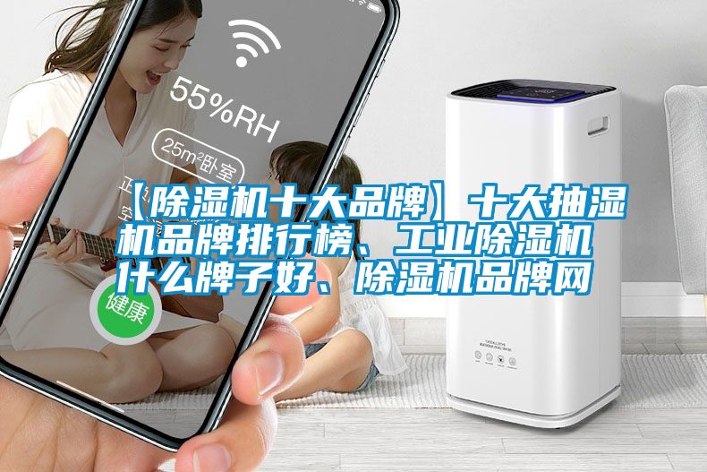 【除濕機(jī)十大品牌】十大抽濕機(jī)品牌排行榜、工業(yè)除濕機(jī)什么牌子好、除濕機(jī)品牌網(wǎng)