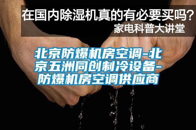 北京防爆機房空調(diào)-北京五洲同創(chuàng)制冷設備-防爆機房空調(diào)供應商