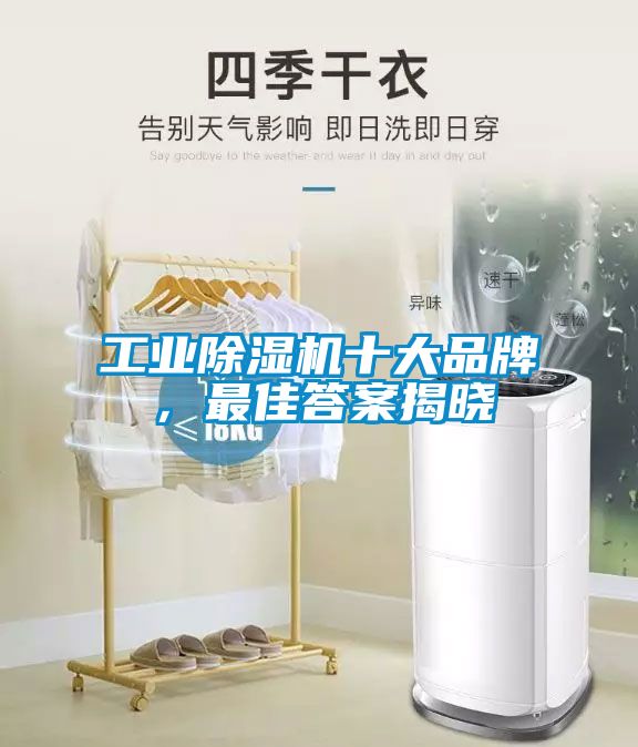 工業除濕機十大品牌，最佳答案揭曉